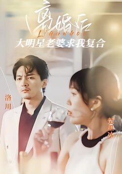 离婚后，大明星老婆求我复合海报