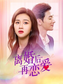 离婚后再恋爱海报