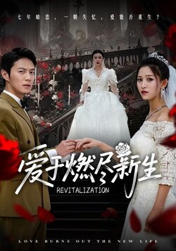 爱于燃尽新生海报