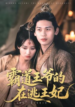 霸道王爷的在逃王妃