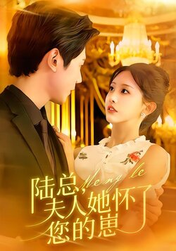 陆总，夫人她怀了您的崽海报