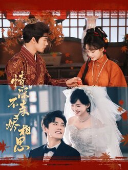 情深不寿烬相思海报