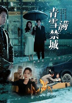 青雪满禁城海报