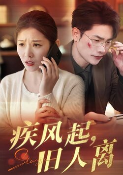 疾风起，旧人离海报