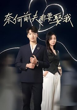 奈何前夫非要娶我