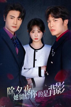 除夕夜她留给你的是背影海报