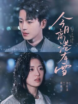 今日离港有雪海报