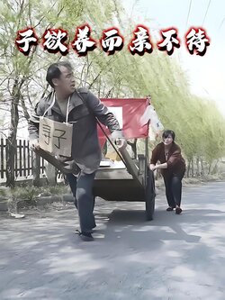 子欲养而亲不待