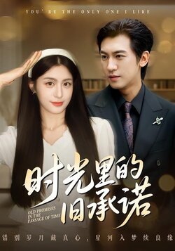 时光里的旧承诺海报