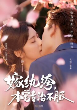 嫁纨绔，本宫专治不服海报