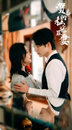 贺总的私宠罪妻