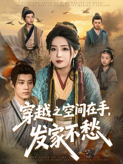 穿越之空间在手，发家不愁海报