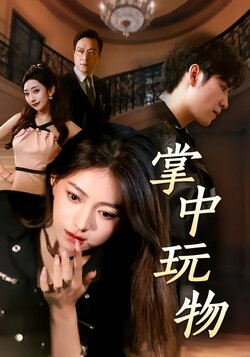 掌中玩物