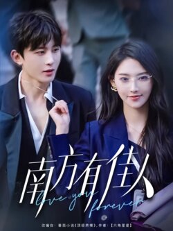 南方有佳人海报