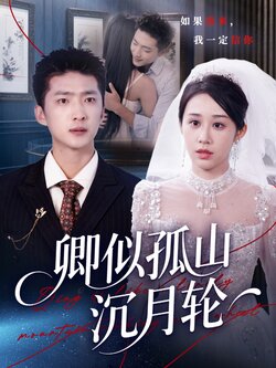 卿似孤山沉月轮