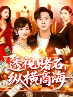 透视赌石，纵横商海