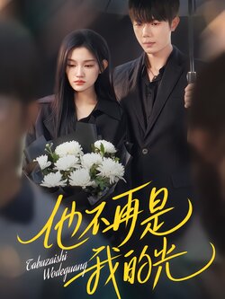 他不再是我的光海报