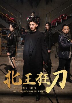 北王狂刀海报