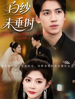 老婆婚礼，我当证婚人