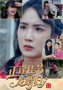 正逢佳节龙婿归