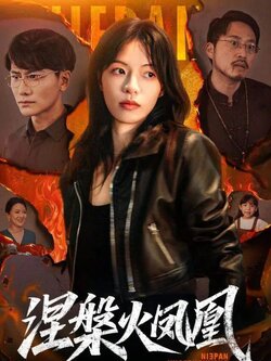 37347涅槃火凤凰