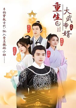 重生之大武帝婿