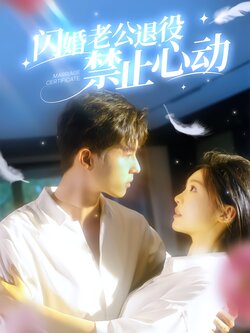 闪婚老公退役禁止心动海报