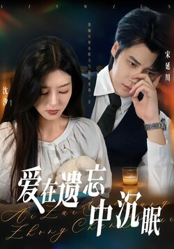 爱在遗忘中沉眠海报