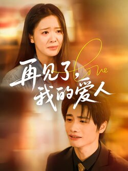 再见了，我的爱人海报
