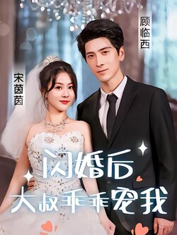 闪婚后，大叔乖乖宠我海报
