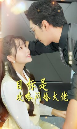 目标是攻略闪婚大佬海报