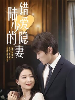 陆少的错爱隐妻海报