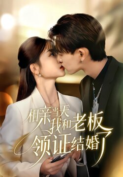 相亲当天我和老板领证结婚了海报