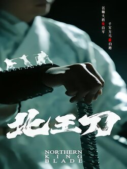 北王刀海报