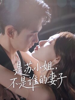 是苏小姐不是谁的妻子海报
