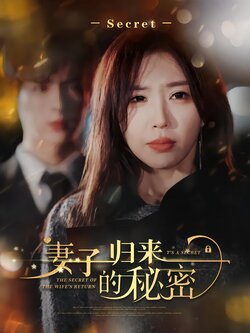 妻子归来的秘密海报