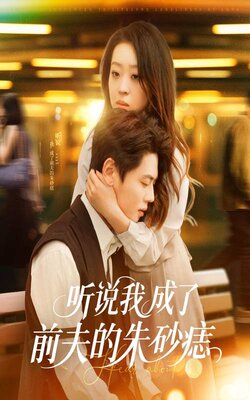 听说我成了前夫的朱砂痣海报