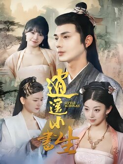 逍遥小书生海报