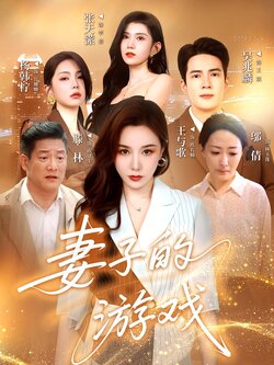 妻子的游戏海报