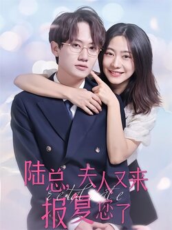 陆总，夫人又来报复您了