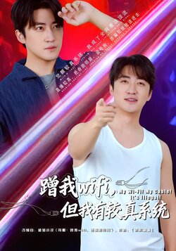 蹭我wifi，但我有较真系统海报