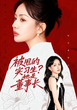 被甩的实习生？她是董事长！海报