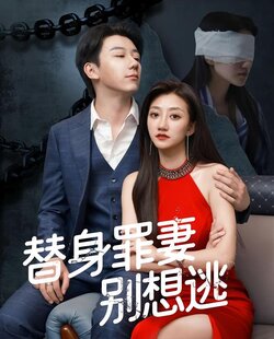 替身罪妻别想逃