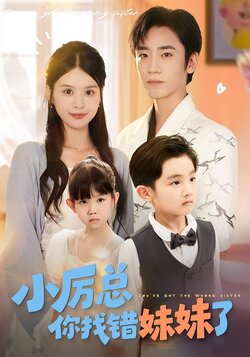 小厉总你找错妹妹了海报