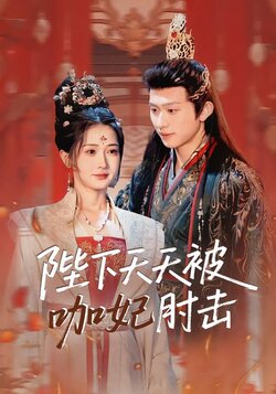 陛下天天被咖妃肘击海报