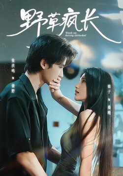 野草疯长海报