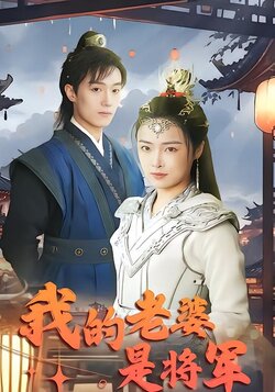 我的老婆是将军海报