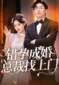 错孕成婚总裁找上门海报