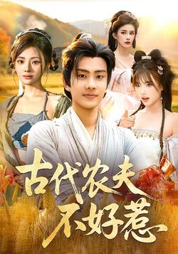 古代农夫不好惹海报
