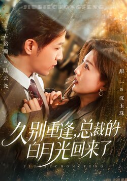 久别重逢，总裁的白月光回来了